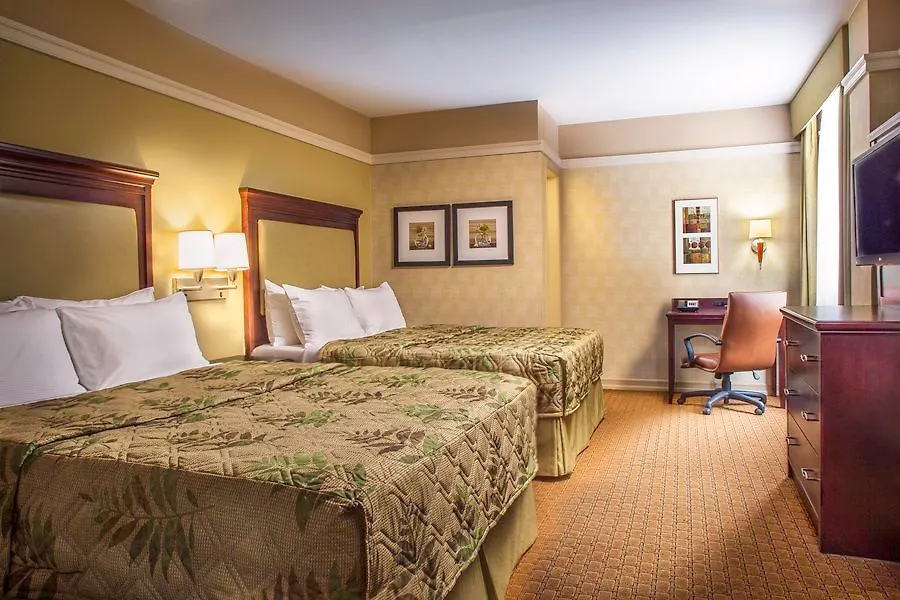 ***  The Hotel At New York City United States