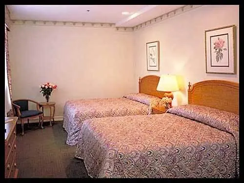 The Hotel At New York City